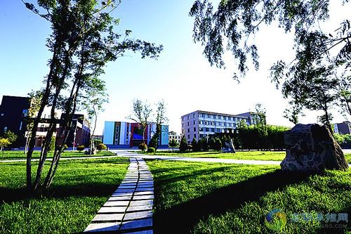 為什么高職單招文化、面試和志愿填報三個方面都很重要？